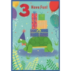 AGE 3 CARDS, 6's Male Tortoise & Presents