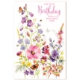 GREETING CARDS,Birthday Assortment 72's Female