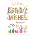 GREETING CARDS,Birthday Assortment 72's Female