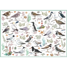 JIGSAW,500pc. Seabirds