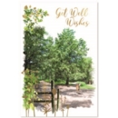 GET WELL CARDS, 6's Forest Walk