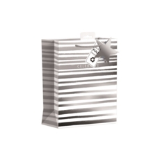 GIFT BAG,Silver Celebrate Stripe (Medium)