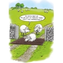 BIRTHDAY HUMOUR CARDS, 6's Sheep