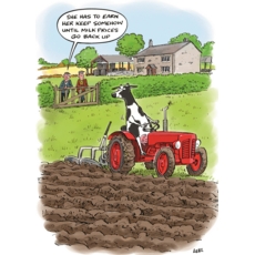 BIRTHDAY HUMOUR CARDS, 6's Milk