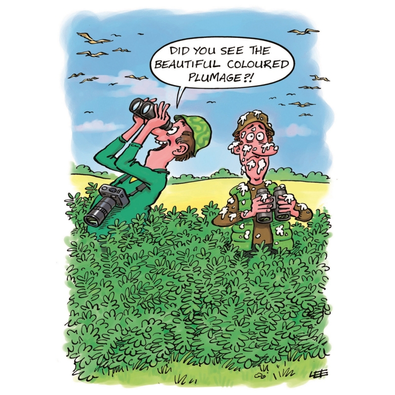 BIRTHDAY CARDS,Humour 6