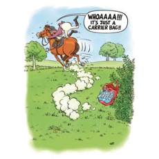 BIRTHDAY CARDS,Humour 6's Scaring The Horse