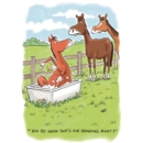 BIRTHDAY HUMOUR CARDS, 6's Horse Bath