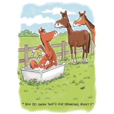 BIRTHDAY HUMOUR CARDS, 6's Horse Bath