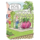 BIRTHDAY HUMOUR CARDS, 6's Prize Veg