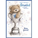 BIRTHDAY CARDS,Grandad 6's Teddy in Trophy