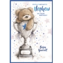 BIRTHDAY CARDS,Nephew 6's Teddy in Trophy