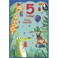 AGE 5 CARDS,Male 6's Animals with Presents
