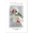 SYMPATHY CARDS,Assortment 72's