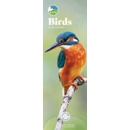 CALENDAR,Slim,Birds (RSPB)