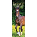 CALENDAR,Slim,Horses