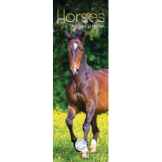 CALENDAR,Slim,Horses