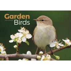 CALENDAR, Garden Birds A4, Opens to A3