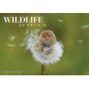 CALENDAR,Wildlife of Britain A4, Opens to A3