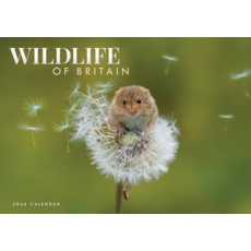 CALENDAR,Wildlife of Britain A4, Opens to A3