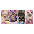 DIARY,Slim,Cats & Dogs Asst Two Weeks to View,2026 CDU