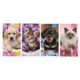 DIARY,Slim,Cats & Dogs Asst Two Weeks to View,2026 CDU