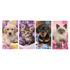 DIARY,Slim,Cats & Dogs Asst Two Weeks to View,2026 CDU