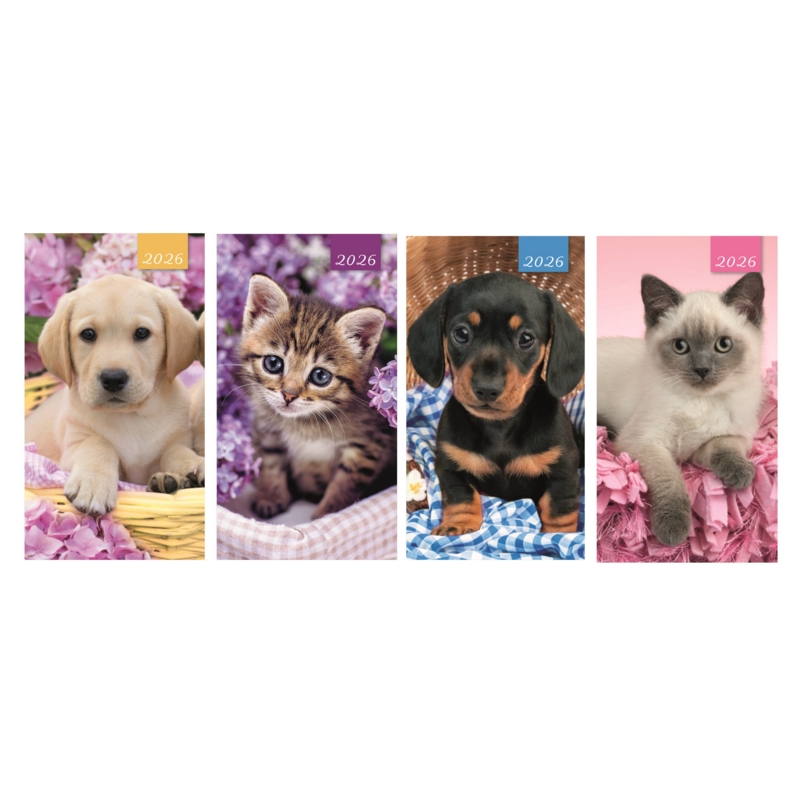 DIARY,Slim,Cats & Dogs Asst Two Weeks to View,2026 CDU