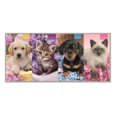 DIARY,Slim,Cats & Dogs Asst Two Weeks to View,2026 CDU