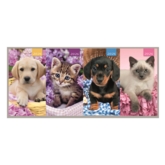 DIARY,Slim,Cats & Dogs Asst Two Weeks to View,2026 CDU