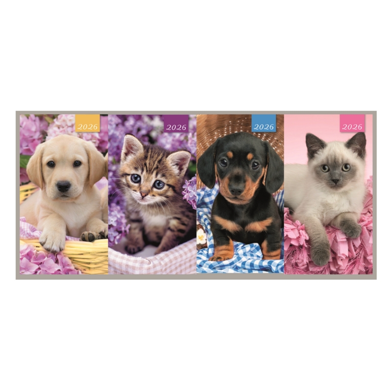 DIARY,Slim,Cats & Dogs Asst Two Weeks to View,2026 CDU