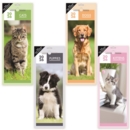 CALENDAR,Super Slim,Pups,Dogs Kittens & Cats, 2026 H/pk