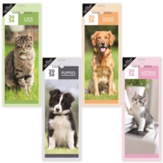 CALENDAR,Super Slim,Pups,Dogs Kittens & Cats, 2026 H/pk