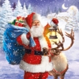 BOXED CARDS,Christmas Bumper Value 25's