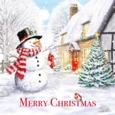 BOXED CARDS,Christmas Bumper Value 25's