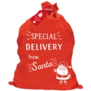 SANTA SACK,Special Delivery 60 x 50cm