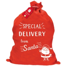 SANTA SACK,Special Delivery 60 x 50cm
