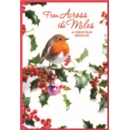 XMAS CARDS,Across the Miles 6's Robin & Holly