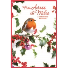 XMAS CARDS,Across the Miles 6's Robin & Holly