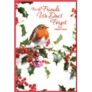 XMAS CARDS,Friends We Don't Forget 6's Robin & Holly