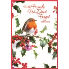 XMAS CARDS,Friends We Don't Forget 6's Robin & Holly