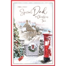 XMAS CARDS,Dad 6's Snowy Postbox & Robin