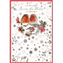 XMAS CARDS,Across the Miles 6's Pair of Robins