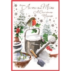 XMAS CARDS,Across the Miles 6's Robin in Snowy Garden
