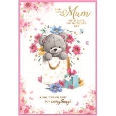 MOTHER'S DAY CARDS,Mum 6's Floral Teddy & Presents