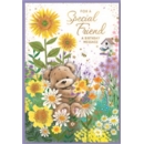 SPECIAL FRIEND CARDS,6's Teddy in Flowerbed