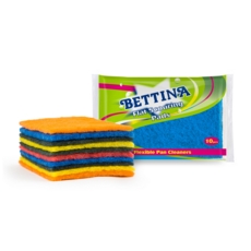 SCOURING PADS 10's Assorted Colours         B109