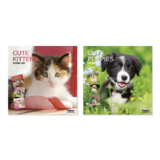 CALENDAR,Square,Kittens & Puppies Photographic 2026