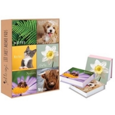 MEMO CUBE,Photographic 180 Sheets Assorted Designs