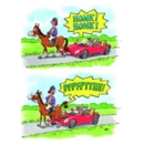 BIRTHDAY HUMOUR CARDS, 6's Horse Poo On Car