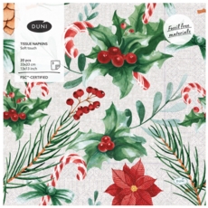 XMAS NAPKINS,33/3ply Seasonal Delight 20's